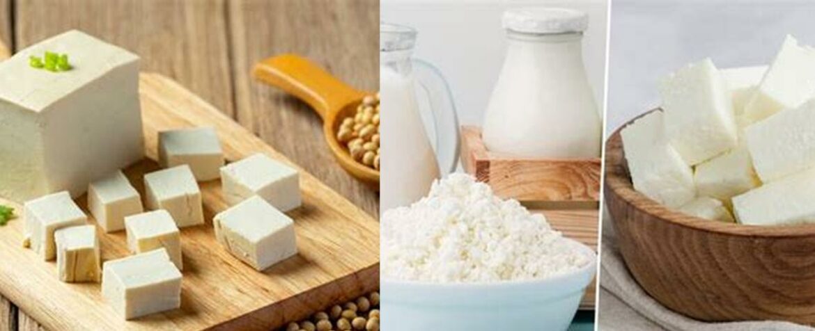 Cottage Cheese Vs Paneer Which Dairy Delight Reigns Supreme Fleur De Sel Gourmet San 2730