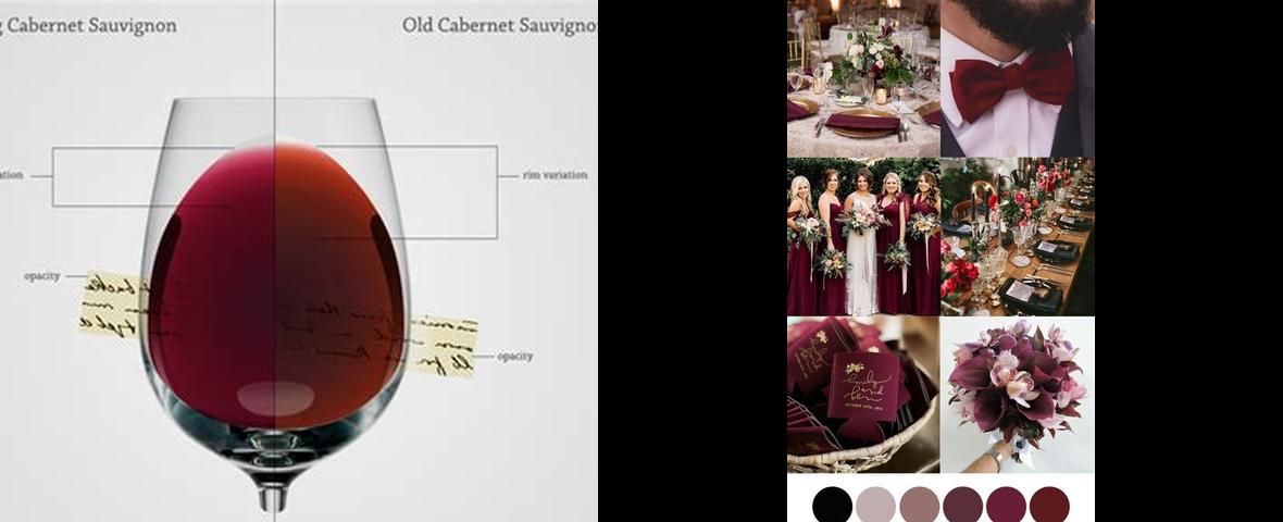 Merlot vs Burgundy Color: Which Red Wine Hue Reigns Supreme? – Fleur de ...