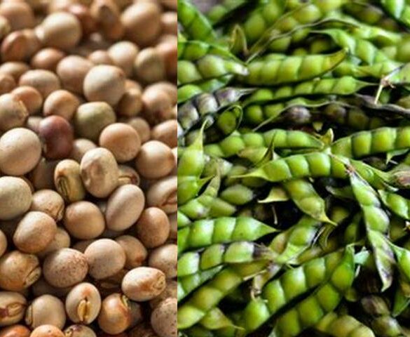 What Are the Best Pigeon Peas Substitutes for Delicious and Nutritious ...