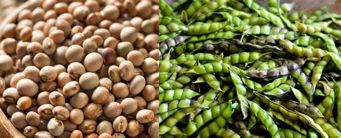 What Are the Best Pigeon Peas Substitutes for Delicious and Nutritious ...