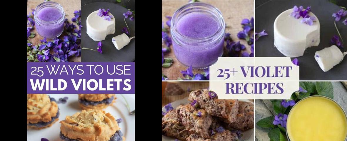 What Do Violets Taste Like? Exploring the Unique Flavors of these ...